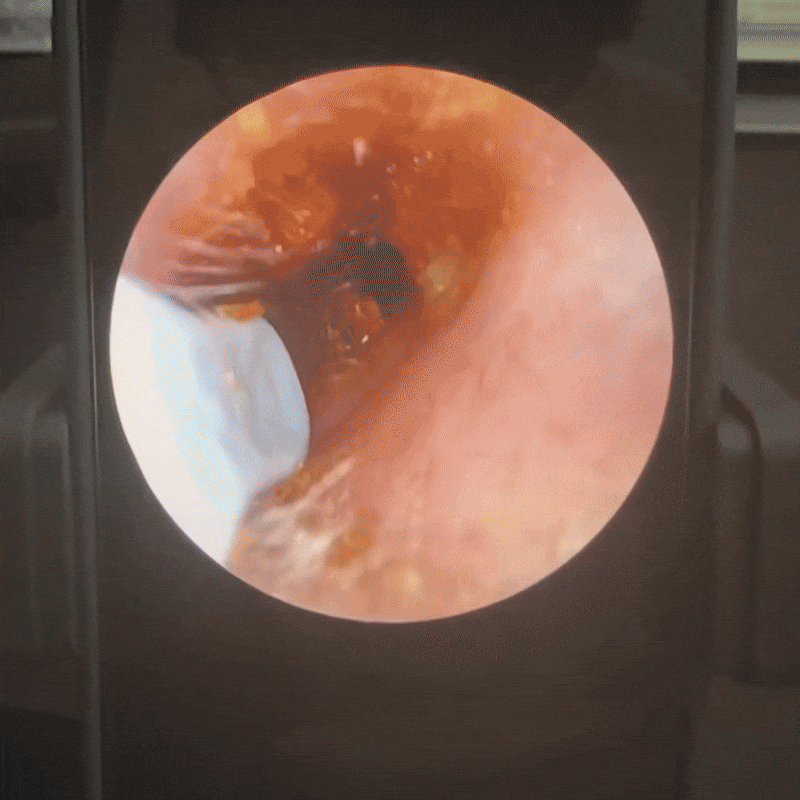 See what's been there all along.